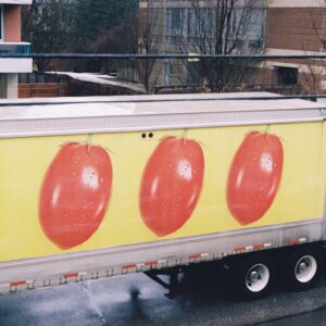 Trailer Graphics